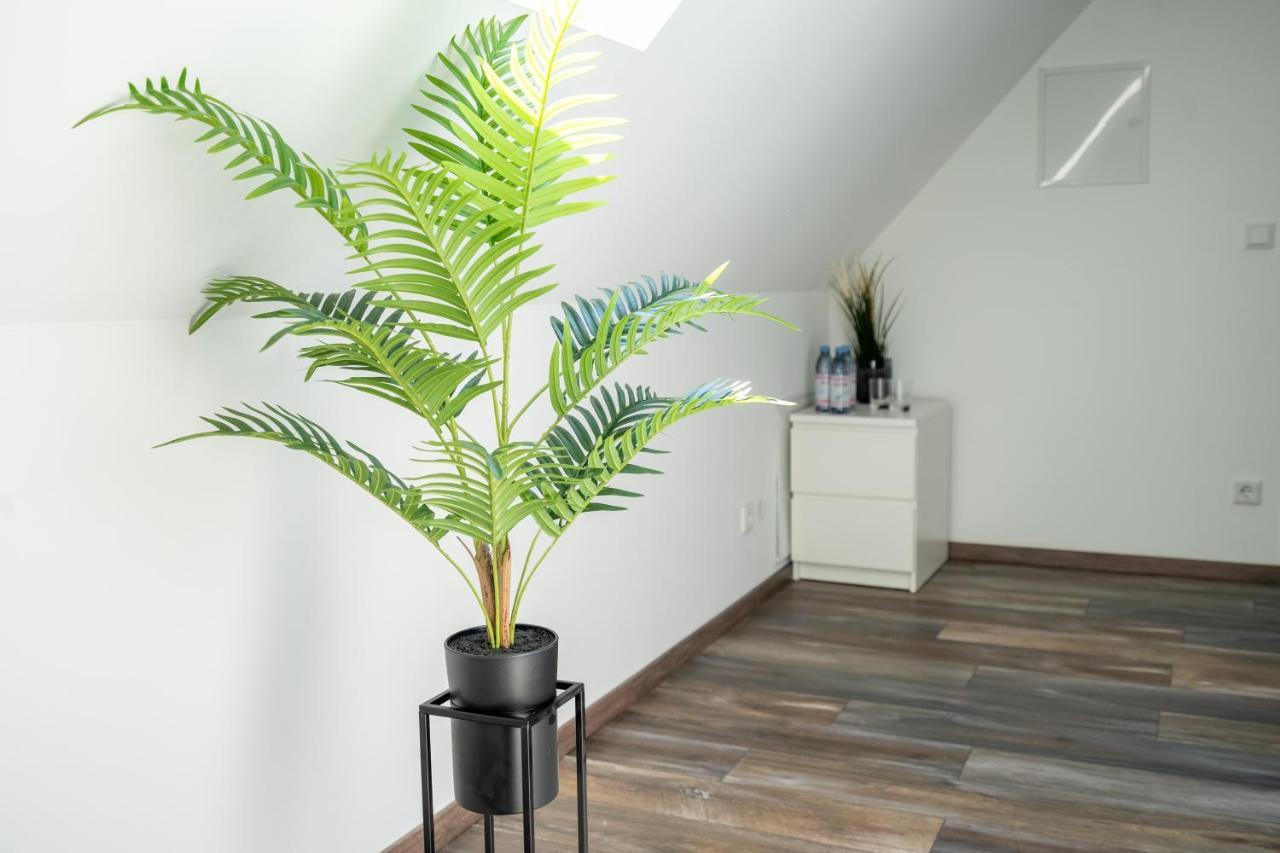 Xxl Superior Apartment 1 - 10 Personen Кастроп-Рауксель Экстерьер фото